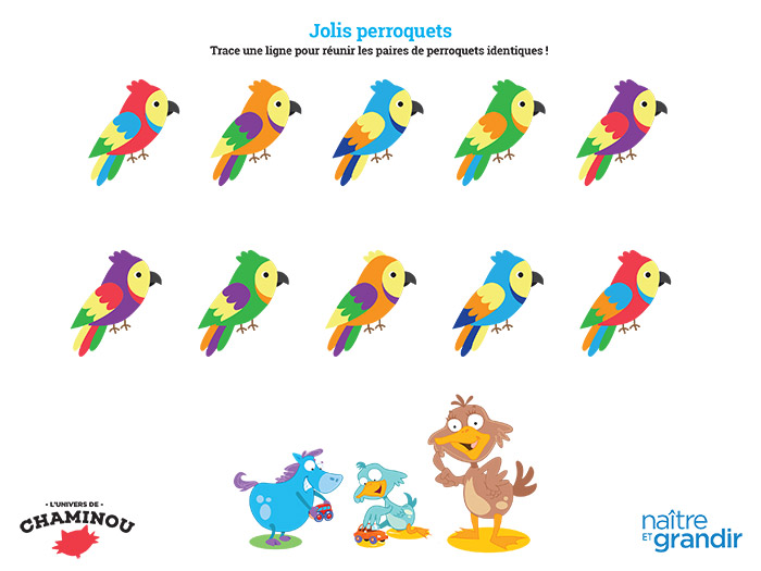 Jolis perroquets