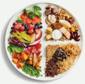 Guide alimentaire canadien 2019