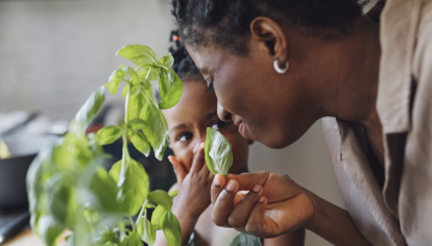 Mère qui fait sentir du basilic à son enfant