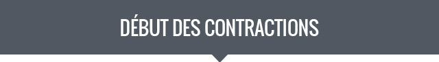 Alternate Text