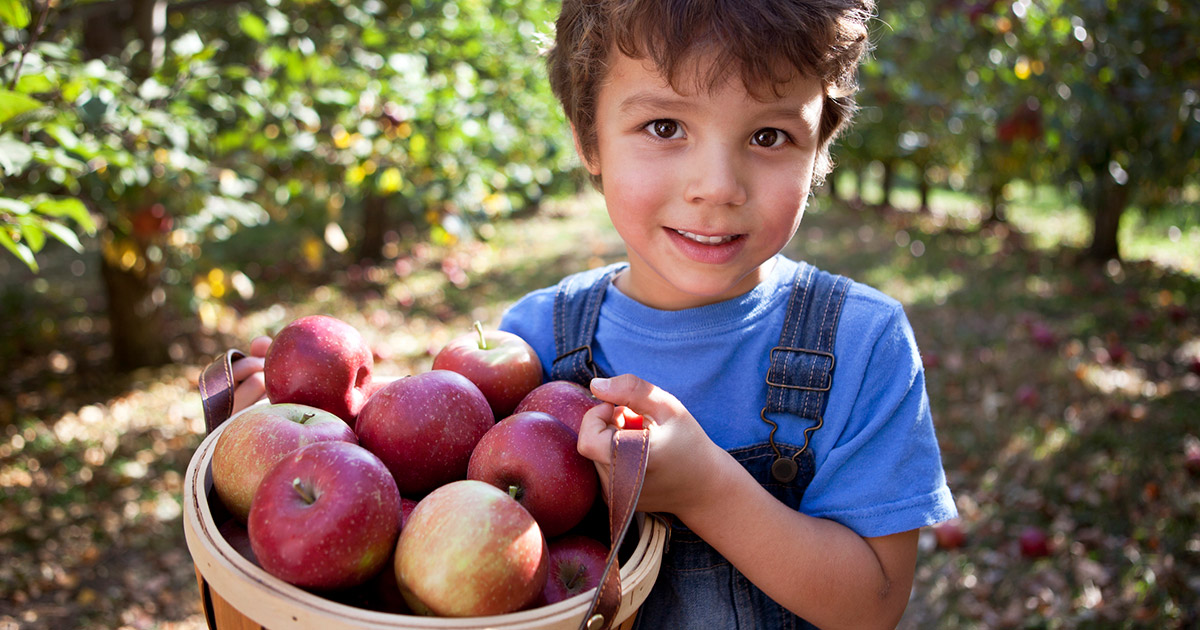 10 idées pour cuisiner les pommes meurtries