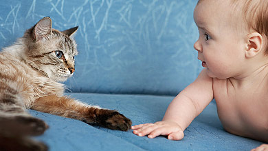 Un chien ou un chat à  la maison, moins d'infections pour bébé!