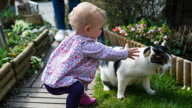 Animaux de compagnie: moins de risque d'allergies pour bébé