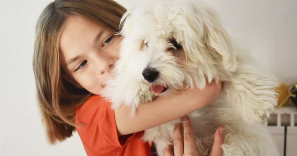 Est-ce une bonne idée d’adopter un animal en période de confinement?