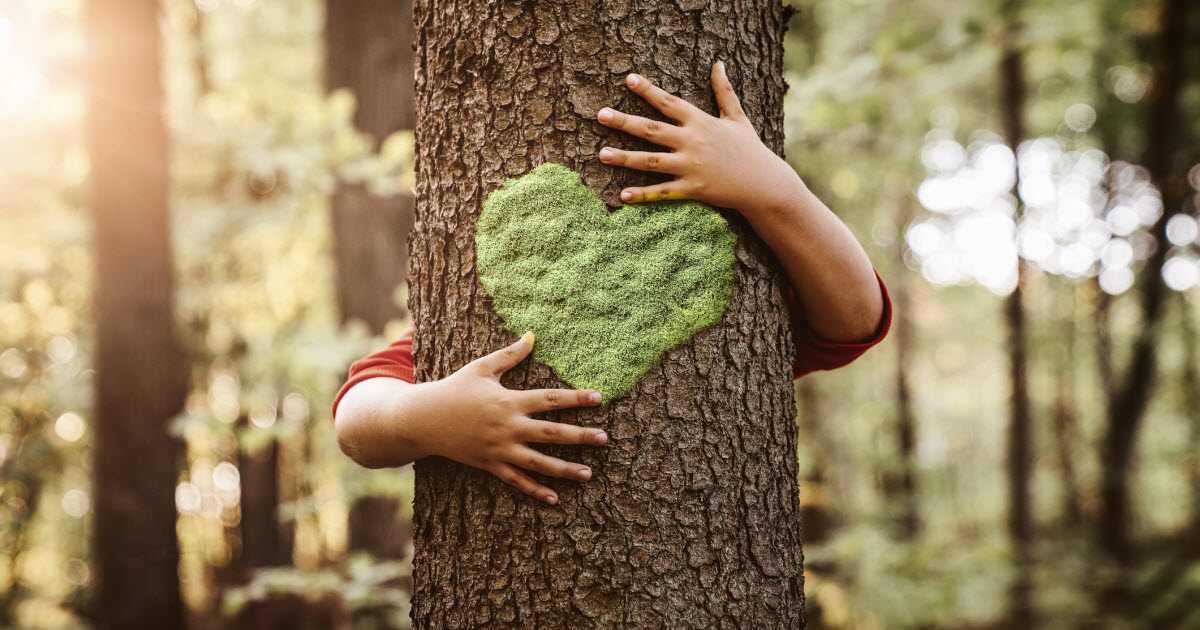Sondage: l'environnement, une préoccupation pour les jeunes enfants?