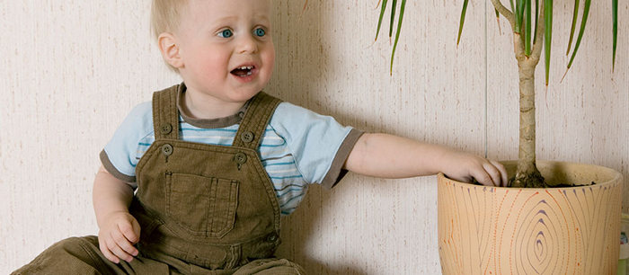 L'enfant qui touche à tout