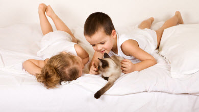 Morsures de chat: à ne pas prendre à la légère