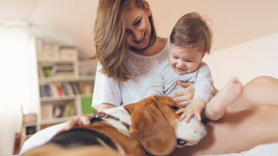 Eczéma et asthme: les chiens auraient-ils un effet protecteur?
