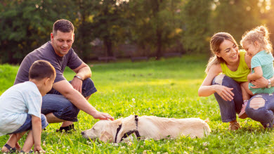 Chiens: apprendre à votre enfant à se protéger