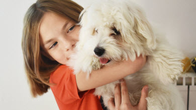 Est-ce une bonne idée d’adopter un animal en période de confinement?