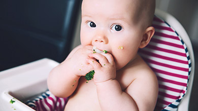 Bébé peut manger «avec pas de dents»