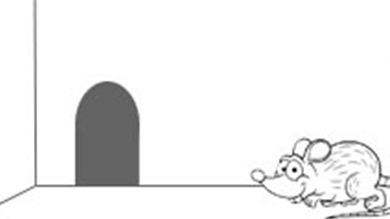 Bébé souris cherche un ami