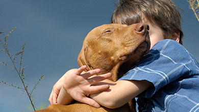 Comment soutenir un enfant lors de la mort de son animal