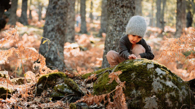 Éducation par la nature : guide pratique pour les parents