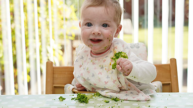 Menus pour bébé