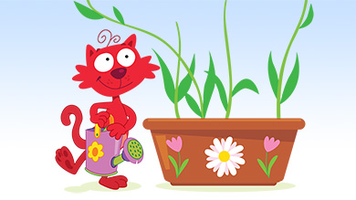 Le pot de fleurs de Chaminou