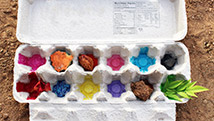 Des trésors de jeux dans la boîte à recyclage